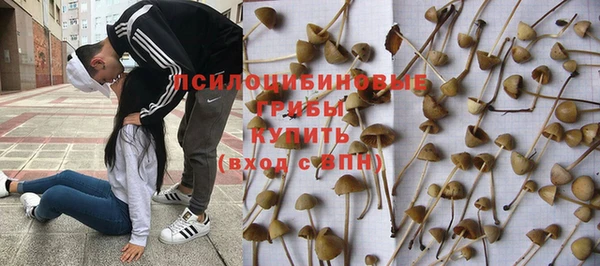 таблы Алзамай