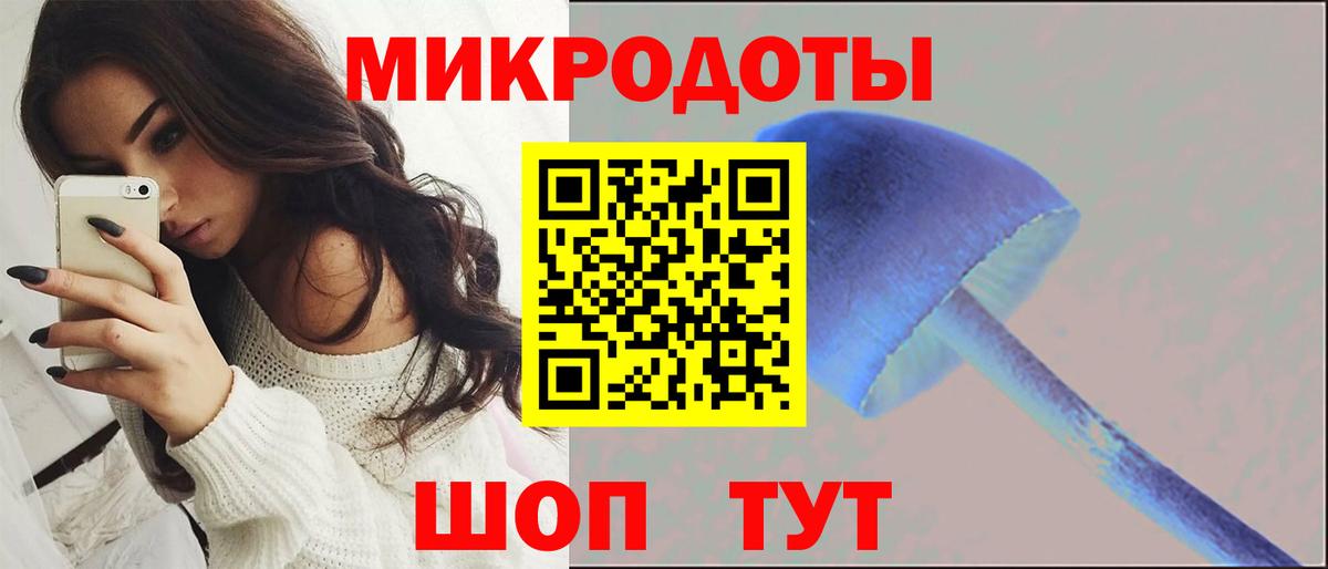 Псилоцибиновые грибы Psilocybe  Вход с VPN  Красноуфимск 